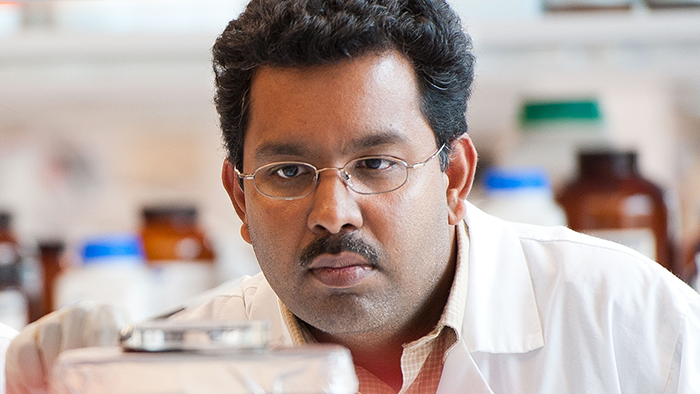 Mr. Jayachandran